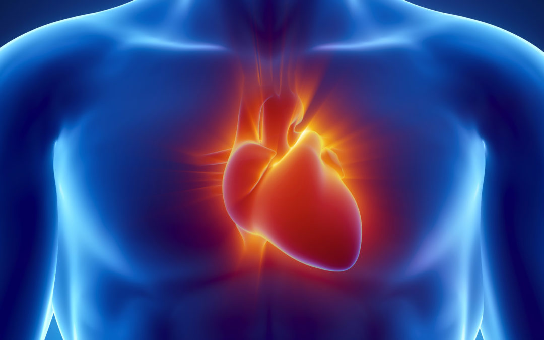 Paladin DTS - Human Heart